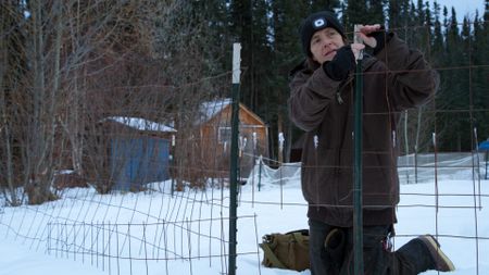 Denise Becker sets rabbit snares near the garden to help keep their crops from getting eaten. (BBC Studios/Ben Mullin)