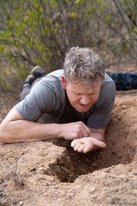 Oaxaca, Mexico - Gordon Ramsay finds honey ants in Mexico. (Credit: National Geographic/Justin Mandel)
