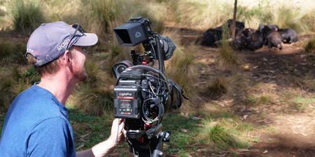 James Blake filming the tasmanian devils eating. (Big Wave Productions)