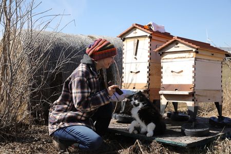 Beth Pol calls Dr. Meghan Milbrath, a bee expert, to update her on the Pol family's bee colonies now that winter has ended and Spring is here. (National Geographic)