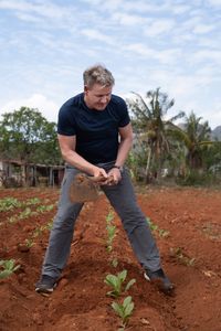 Gordon Ramsay tills the soil at the tobacco farm. (National Geographic/Justin Mandel)