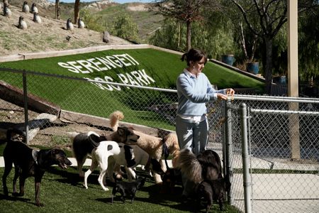 Isabella entering the Serengeti Dog Park surrounded by dogs. (National Geographic)