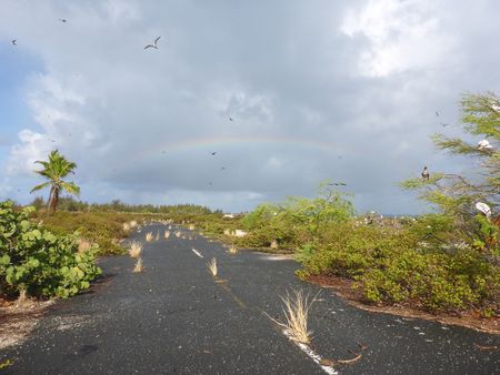 In the vast central Pacific Ocean, about 1300 kilometers southwest of Honolulu are several small islands dotted along an extensive coral reef. The largest among them is Johnston Atoll. The short bush and sandy soil provide a nesting and breeding haven for migrating seabirds, including bobbies, albatrosses, and red-tailed tropical birds. (Credit: Michael Skandalis)