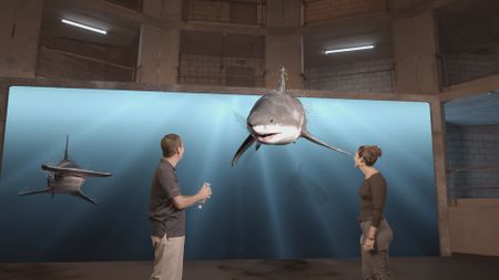 Dr. Stephen Kajiura and Dr. Diva Amon analyzing a GFX Great White shark while in the shark studio lab. (National Geographic)