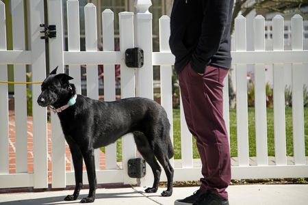 Shadow is on leash next to Cesar. (National Geographic)