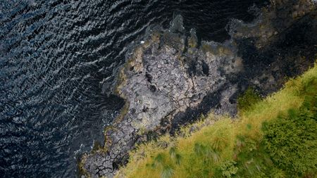 Birds eye view bog near Dätgen, Germany. (2023 BOG PEOPLE SEASON ONE INC.)