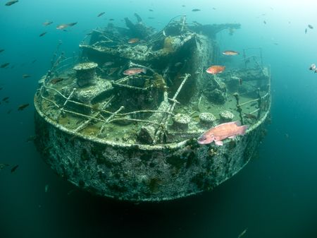 Intriguing shipwrecks and dark underwater tunnels take divers back in time to an unknown chapter on Canada’s Bell Island. (Credit: Jill Heinerth)