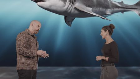 Dr. Nick L Payne and Dr. Diva Amon discussing the anatomy of Great White sharks while a GFX Great White is swimming in the background. (National Geographic)