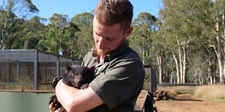 Tyler holding a tasmanian devil baby. (Big Wave Productions)