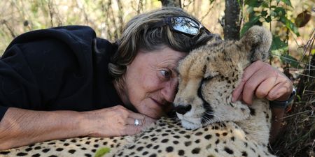 A woman lay next to a cheetah. (Big Wave Productions)