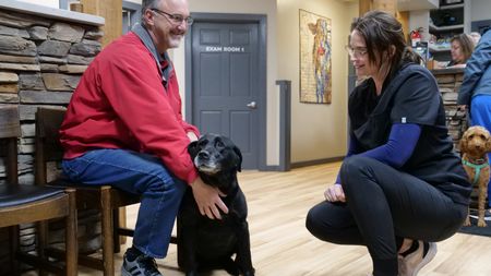 Dr. Erin Schroeder talks with owner Mike Reifenrath after removing a tumor from his black lab, Suh. (National Geographic)