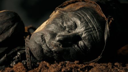 Tollund Man remains. (2023 BOG PEOPLE SEASON ONE INC.)