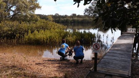 Kelsey and Hayley the vet nurse releasing the pelican. (EQ Media Group/ Jackie Munro)