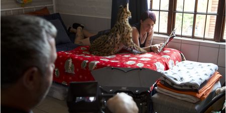 Clare reading a book with the serval. (Big Wave Productions)