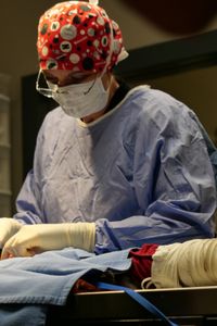 Dr. Erin Schroeder performs the procedure to treat Mikey the cat's hernia. (National Geographic)