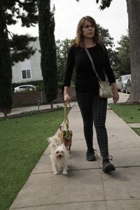 Kim walks Sweet Pea and Dilly on the sidewalk. (National Geographic)