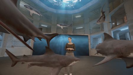 Dr. Diva Amon stood in the shark lab studio while being circulated by multiple GFX Bull sharks that are swimming by her. (National Geographic)