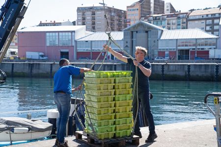 Gordon Ramsay assists with the fish haul at the market. (National Geographic/Justin Mandel)