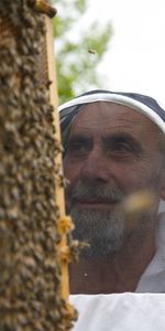 A man looking at a bee hive rack filled with bees. (Big Wave Productions)