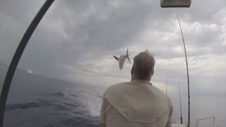 Shark jumps out of water in front of fisherman's boat. (National Geographic)