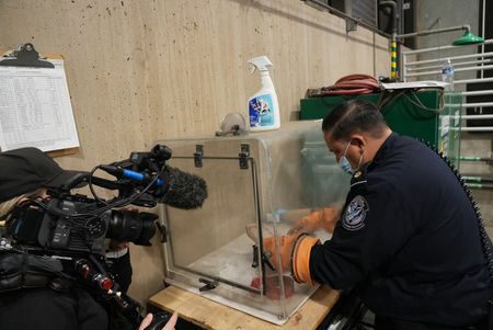 CBP Officer Bonilla uses a knife to cut into a package of suspected narcotics  found smuggled in suspect's vehicle in Calexico, Calif. (National Geographic)